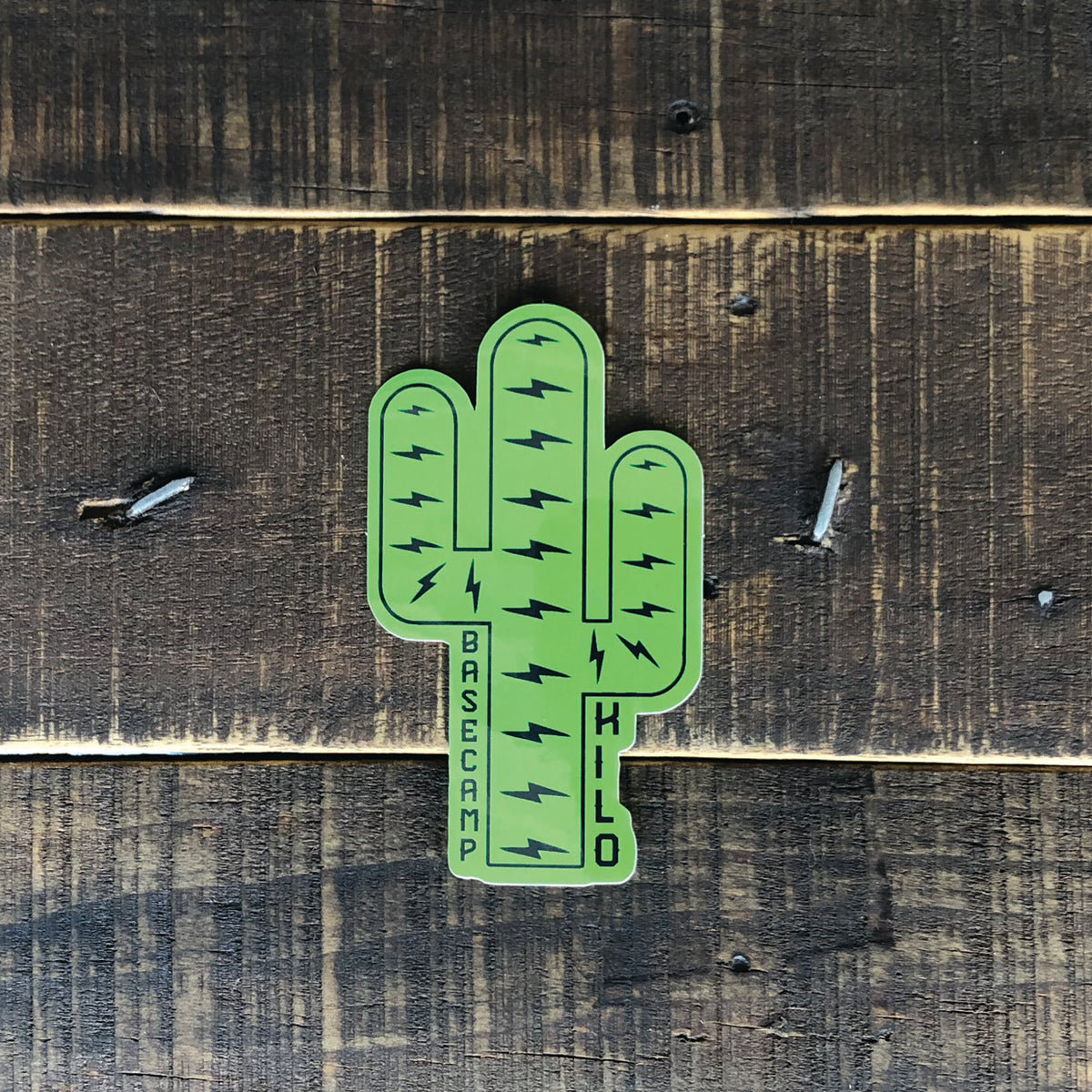 BCK Cactus